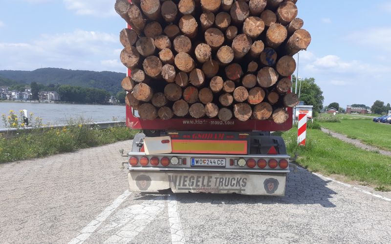 Holztransport2.jpg