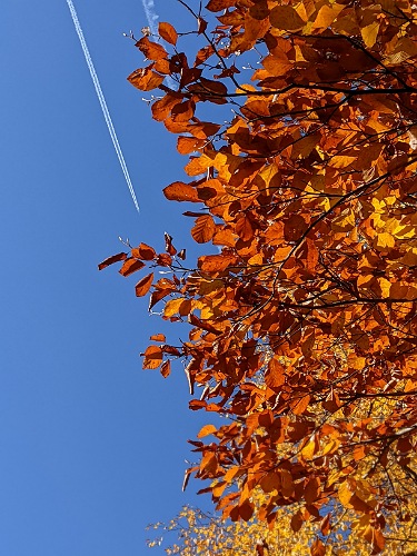 Guten Flug Kommt gesund wieder.jpg