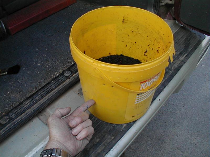 Ergebnis aus 35 Fallen nach 1 Woche (Medium).jpg