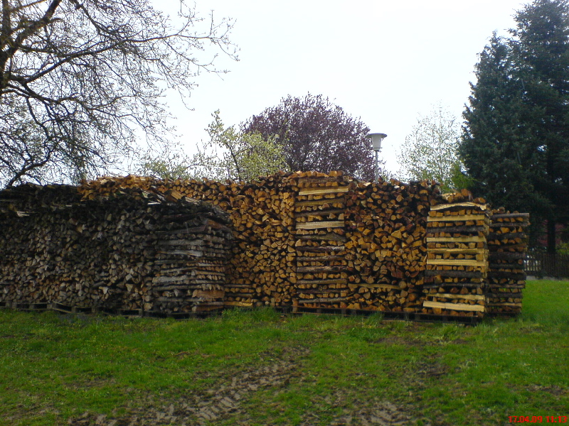 17-Apr-09_Brennholz_V2.jpg