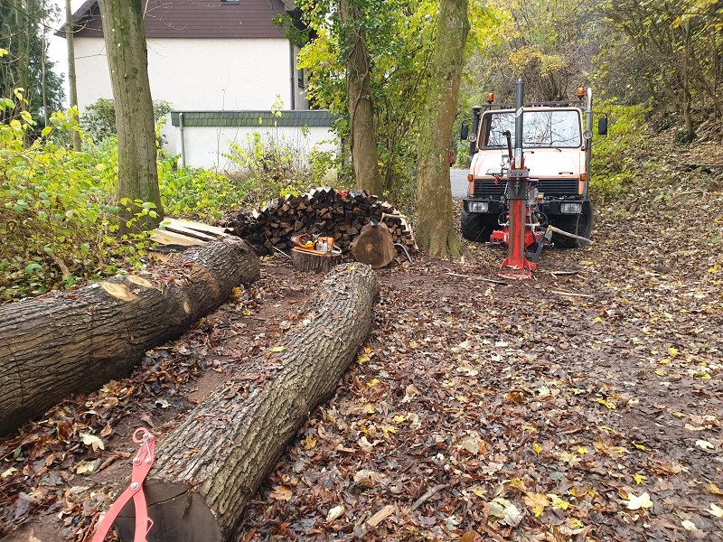 20211120_122534.jpg