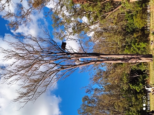 IMG_20211215_180051.jpg