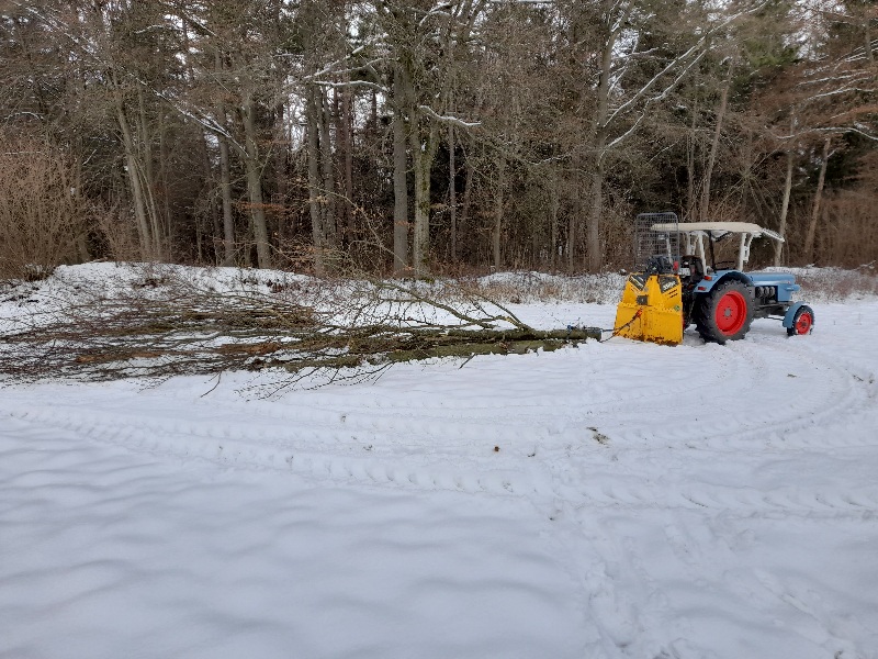 20220115_124933.jpg