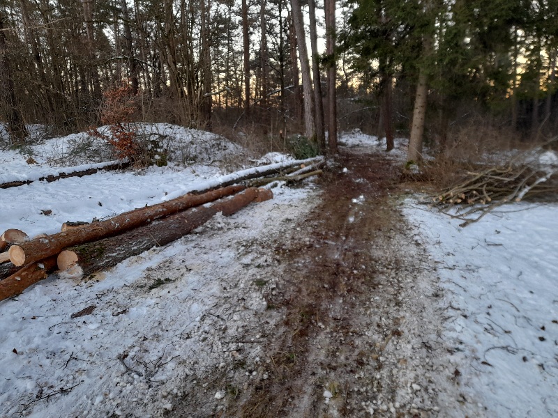 20220115_163400.jpg