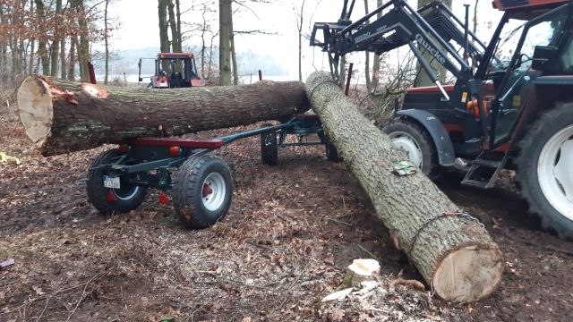 Einsatz Langholzwagen 01.jpg