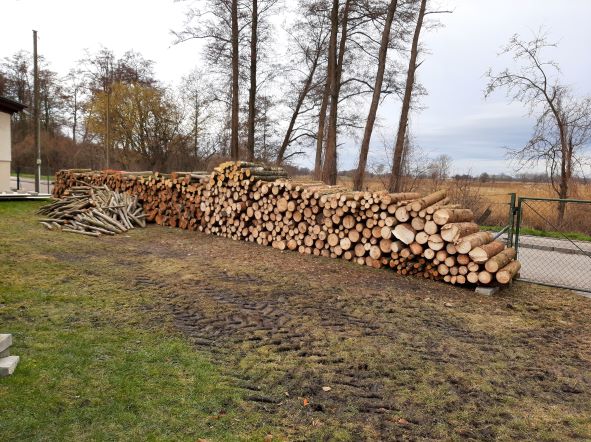 Sie warten darauf , das sie gespalten werden..jpg
