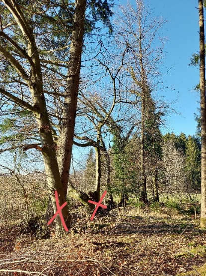 20220213_160958.jpg