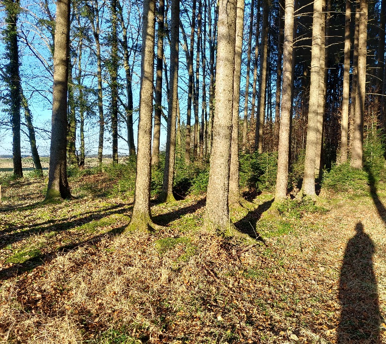 20220213_161020.jpg