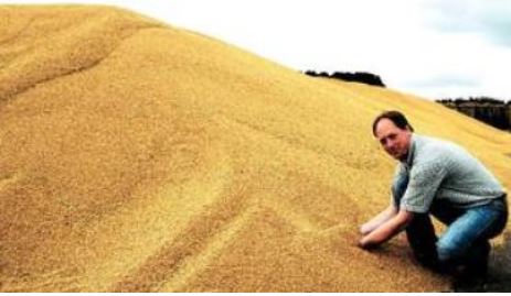 Getreidelagerung im Freiland.JPG