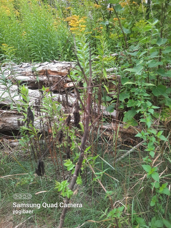 20220827_092509 - Kopie.jpg