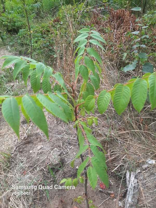 20220827_093418 - Kopie.jpg