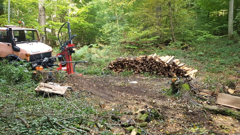 WhatsApp Bild 2022-10-08 um 18.29.45_2.jpg