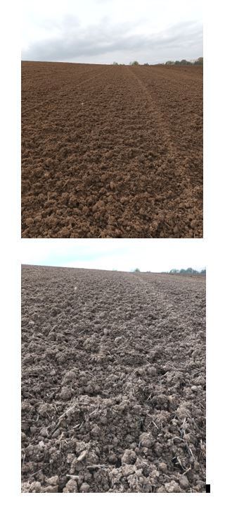 Acker Bodenbearbeitung.JPG