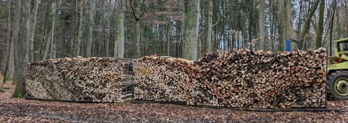 holz2.jpg