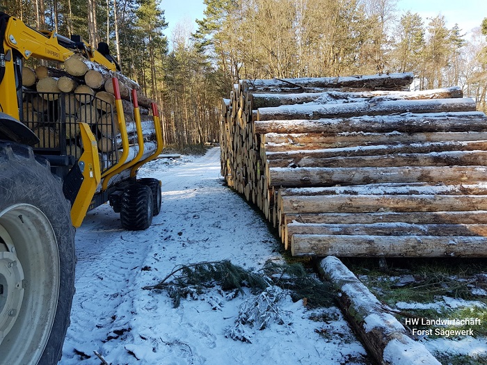 20230209 LAS Polter klein.jpg