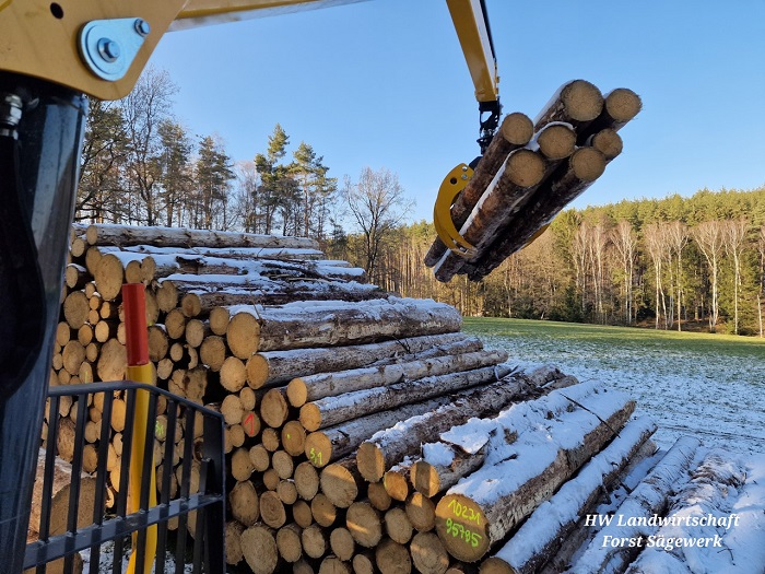 28.02.2023 Fichte laden.jpg