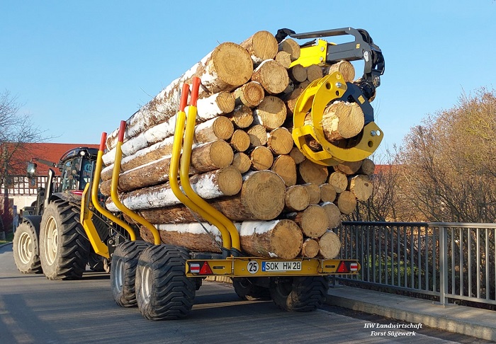 28.02.2023 LAS und BH Fichte.jpg