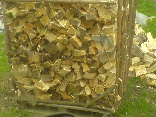 DSC00595.JPG
