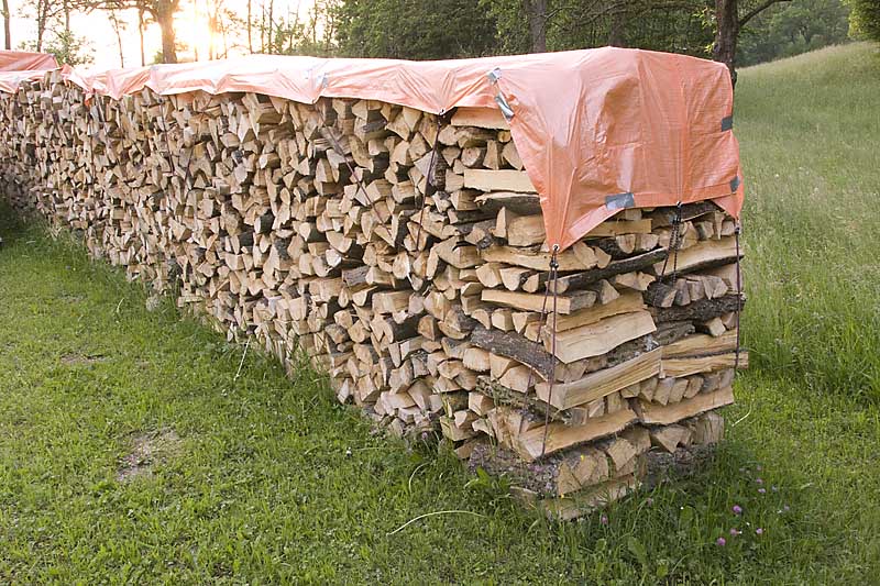 holz-01.jpg