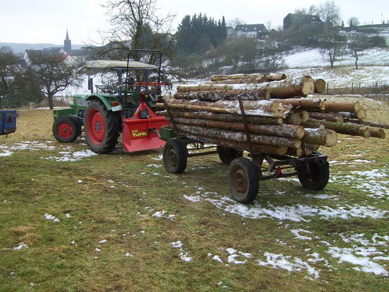 Aufgearbeiteter Windwurf.JPG