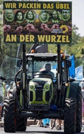 Wir packen das grüne Übel an der Wurzel.JPG