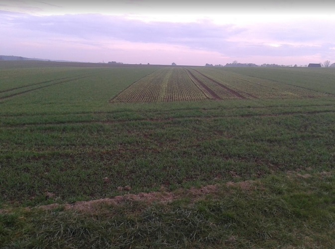 Screenshot 2023-10-16 193120.jpg