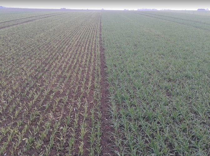 Screenshot 2023-10-16 200008.jpg