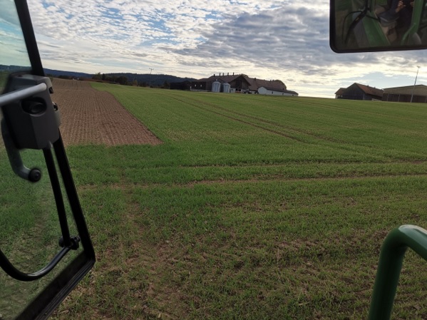 Gerste nach Herbizid.jpg