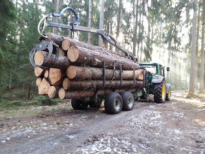 Nadelholz Transport 1.jpg