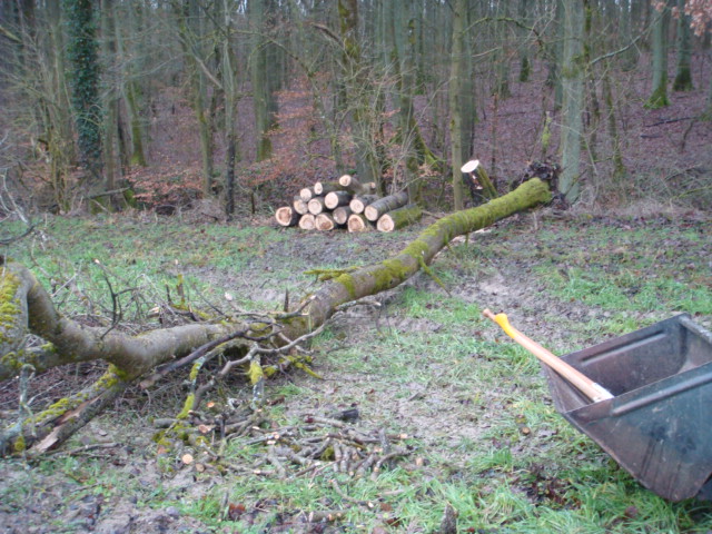 Wini hat überlebt Bild 1.JPG