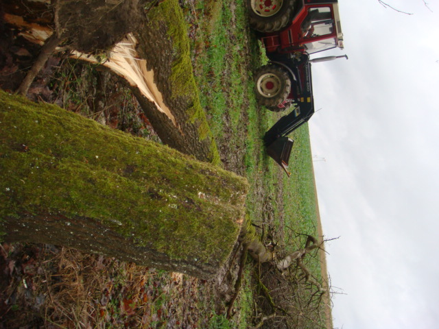 Wini hat überlebt Bild 2.JPG