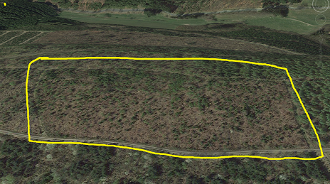 2024-02-01 00_49_01-Window.png