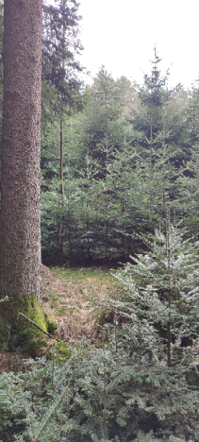 1711362893851 (Klein).png