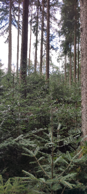 1711362893882 (Klein).png