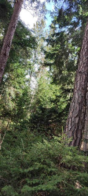 1711362893937 (Klein).png