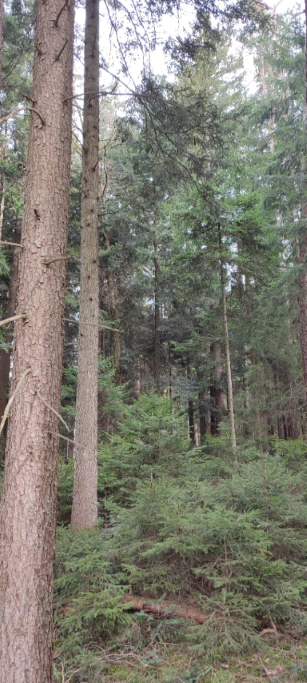 1710066329708 (Klein) (Custom).png