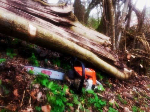 IMG20240330101827 -k.jpg