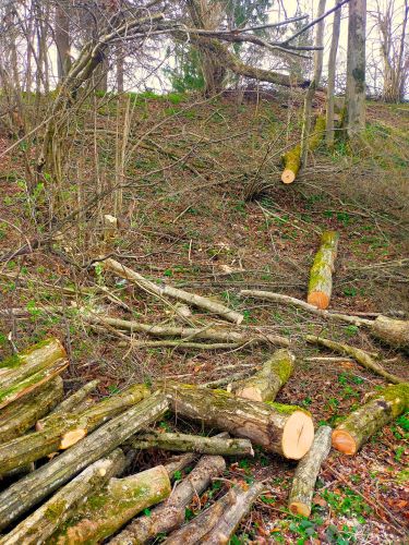 IMG20240320155910 (2).jpg