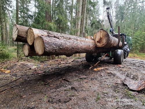 PSX_20220314_153401 klein.jpg