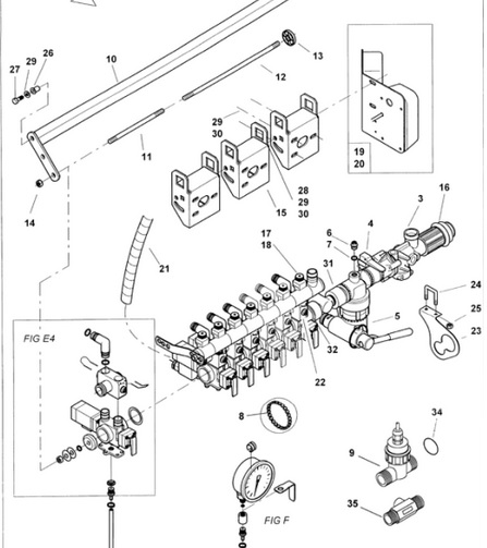 Amatur Amazone G.jpg