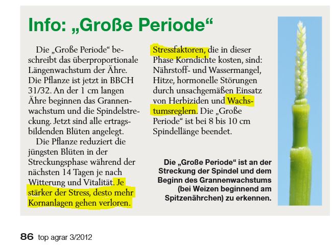 Große Periode.JPG