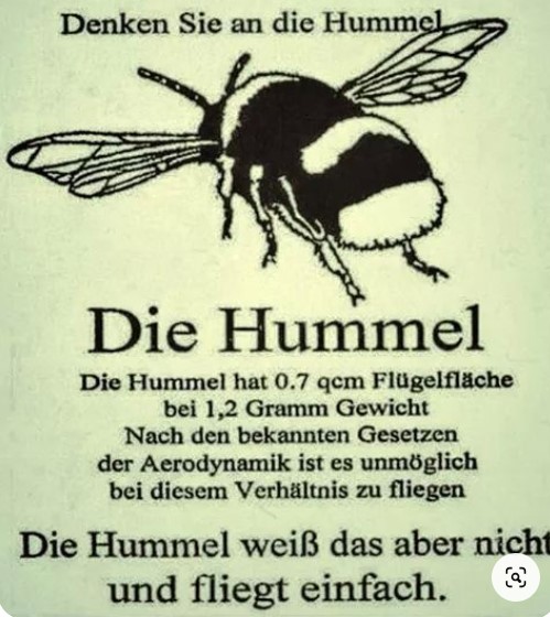 Hummel.jpg