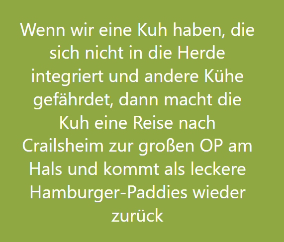 Screenshot 2024-08-24 195044.png