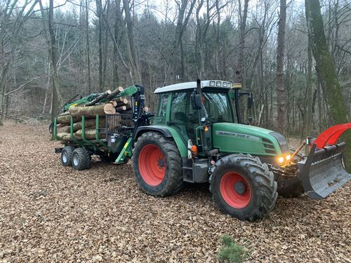 Eschentransport (1).jpg