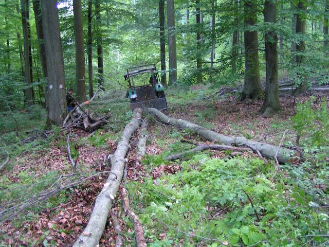 k-PICT0020.JPG