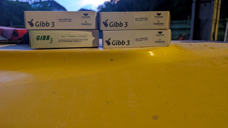 Gib3.jpg