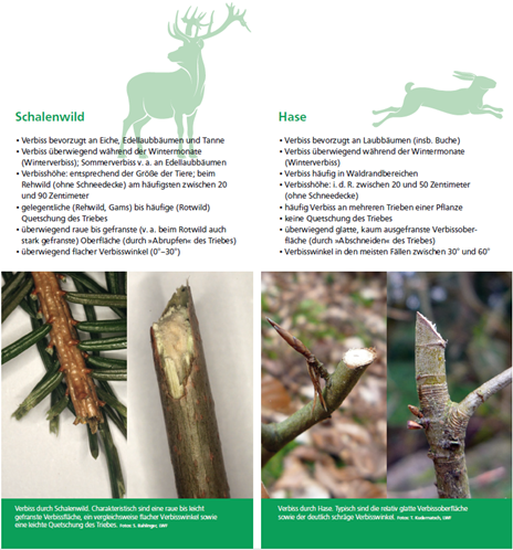 Screenshot 2025-06-14 103221.png