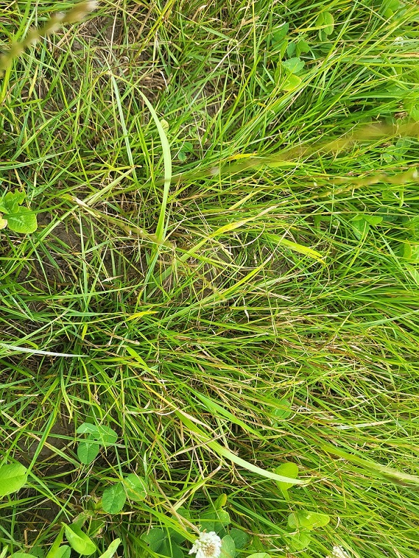 20250625_120808.jpg