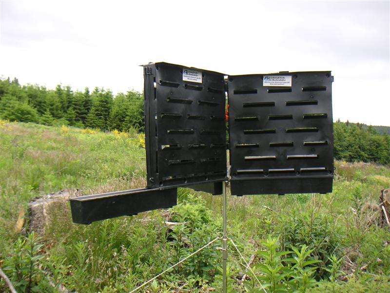 PICT1457 (Medium).JPG