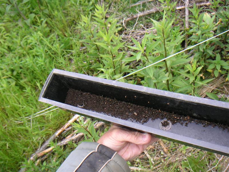 PICT1458 (Medium).JPG